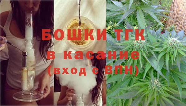 амф Ладушкин