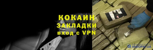 амф Ладушкин
