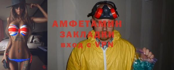 амф Ладушкин