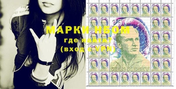 амф Ладушкин