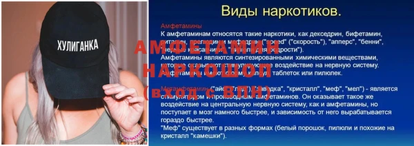 амф Ладушкин