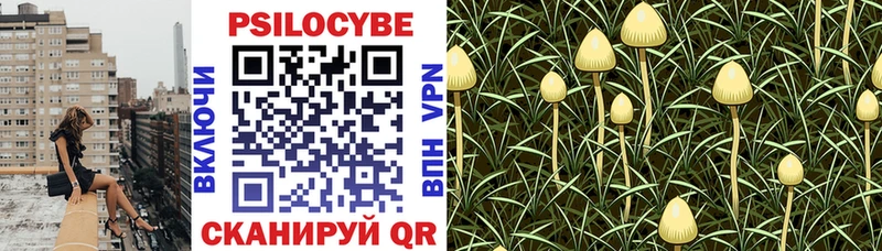 Псилоцибиновые грибы Psilocybe  как найти закладки  Данилов 
